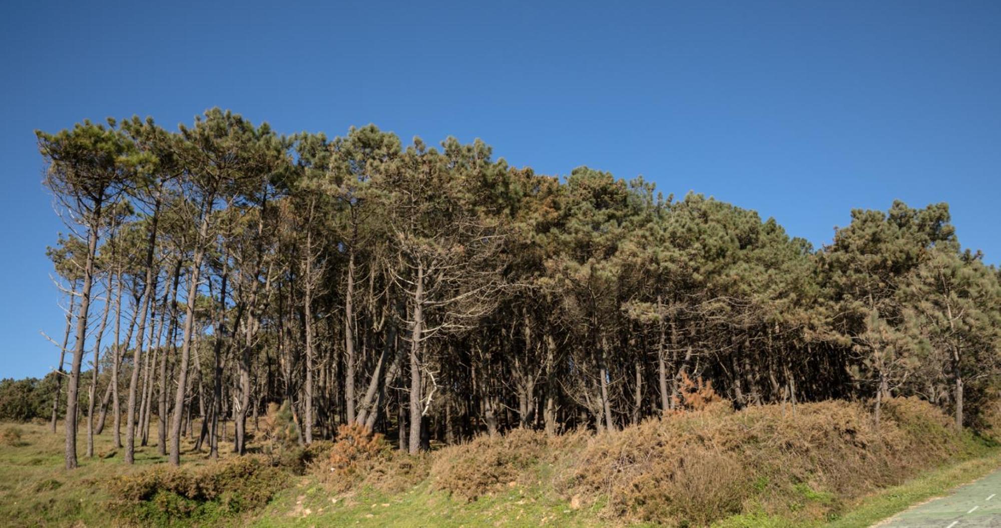 Doninos Nature Exterior photo
